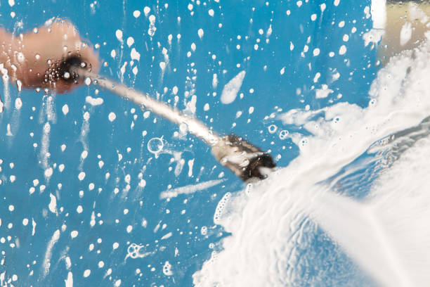 Best Pre-Holiday Cleaning  in Cresaptown, MD