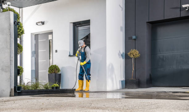 Best Graffiti Removal  in Cresaptown, MD