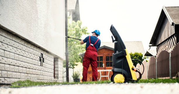 Best House Exterior Washing  in Cresaptown, MD